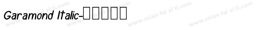 Garamond ltalic字体转换